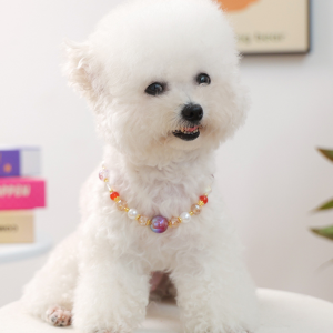 Minimally designed anthracene stone elastic pet collar